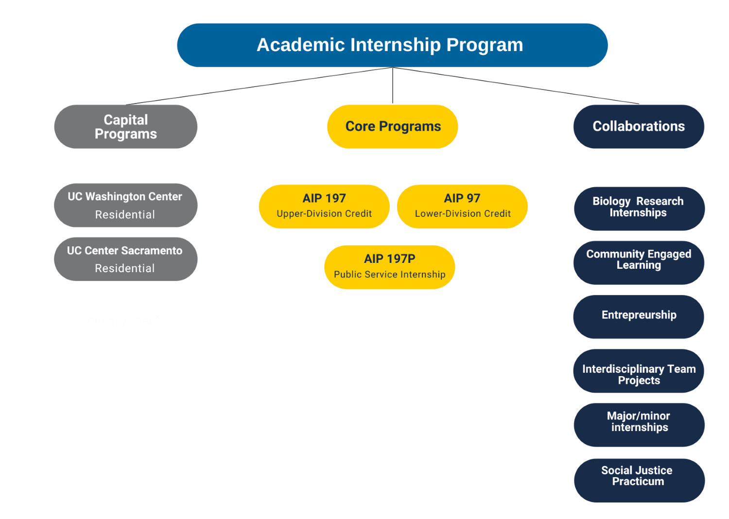 visual chart of programs listed below